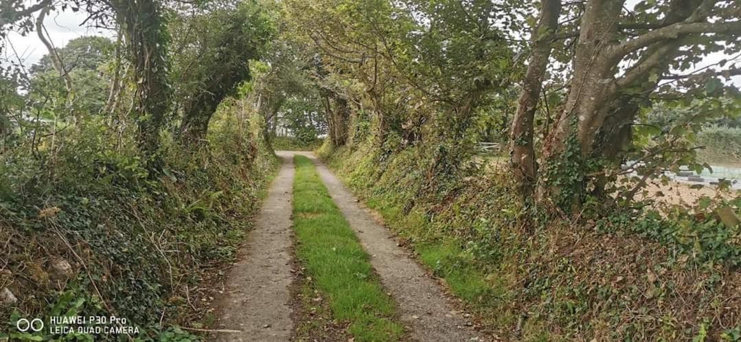 Rosebud Flower Farm Caravan Stay Countryside And Coast Penzance Exterior foto